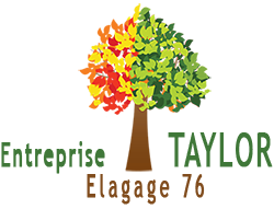 Entreprise TAYLOR Elagage 76